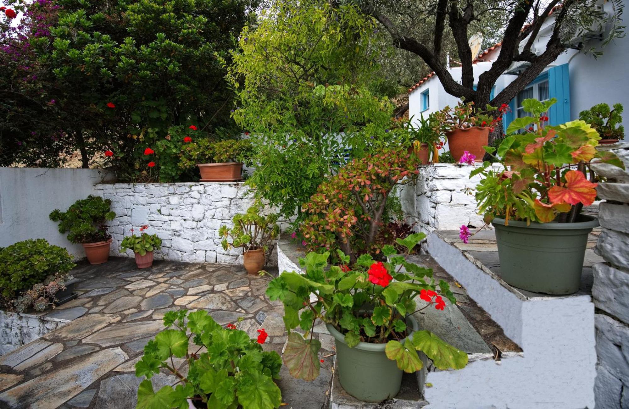 Limani Cottage Steni Vala Alonissos Exteriér fotografie