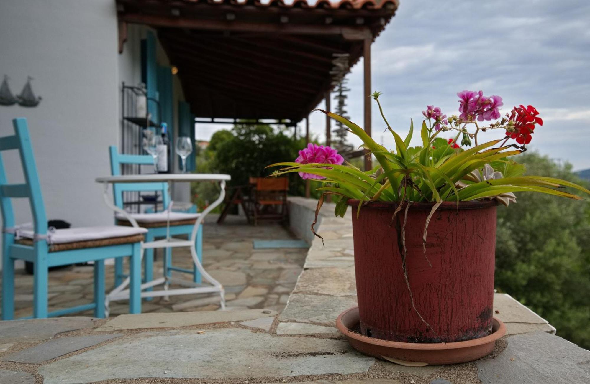 Limani Cottage Steni Vala Alonissos Exteriér fotografie